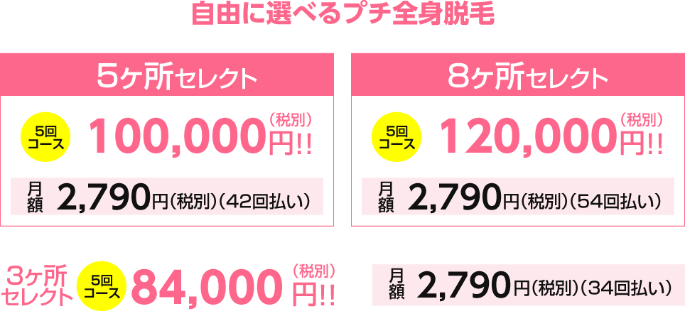 自由に選べるプチ全身脱毛