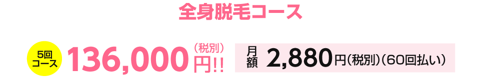 自由に選べるプチ全身脱毛